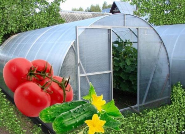 Теплицы 4м(1) из трубы 20х40 с доставкой.